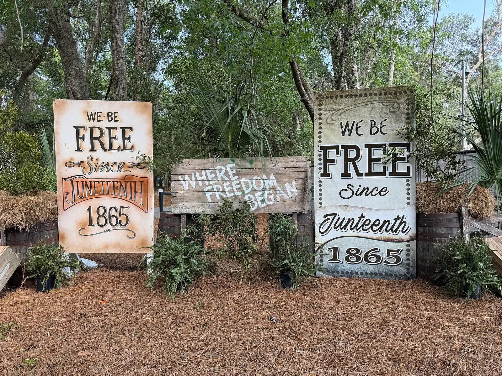 Interpretive panels and live oaks at Historic Mitchelville Freedom Park on Hilton Head Island