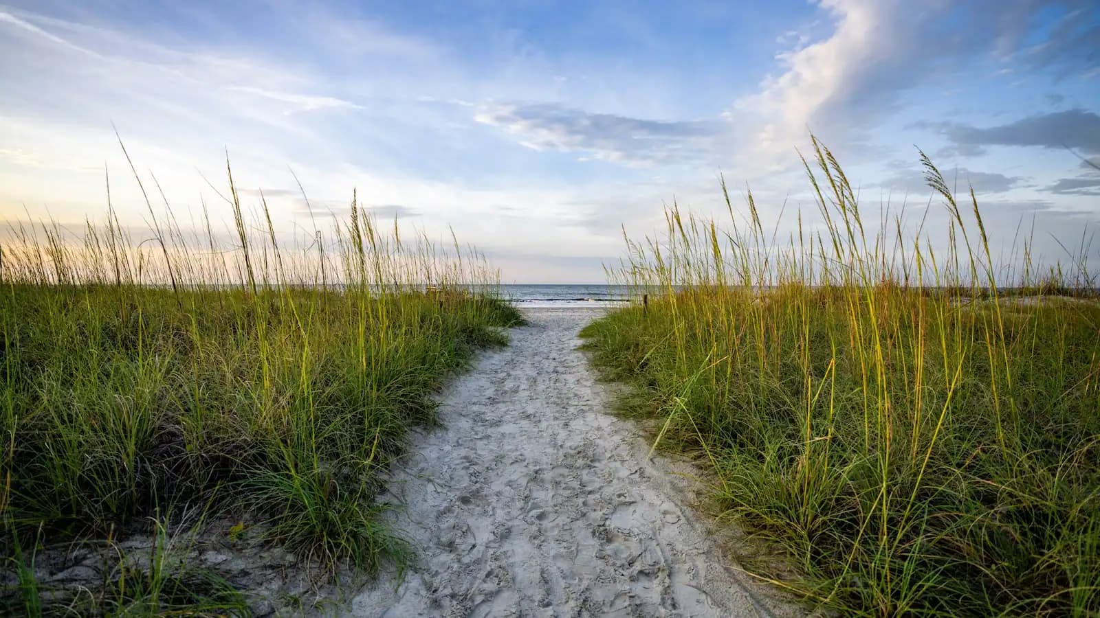 A sandy path cut through sea oats leading down onto a wide, empty Atlantic beach