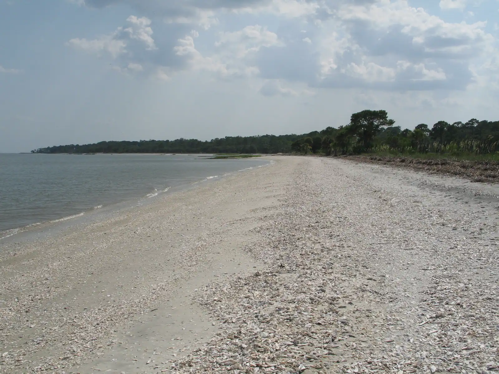 A wide, empty shell-strewn beach on Daufuskie Island running down to shallow water