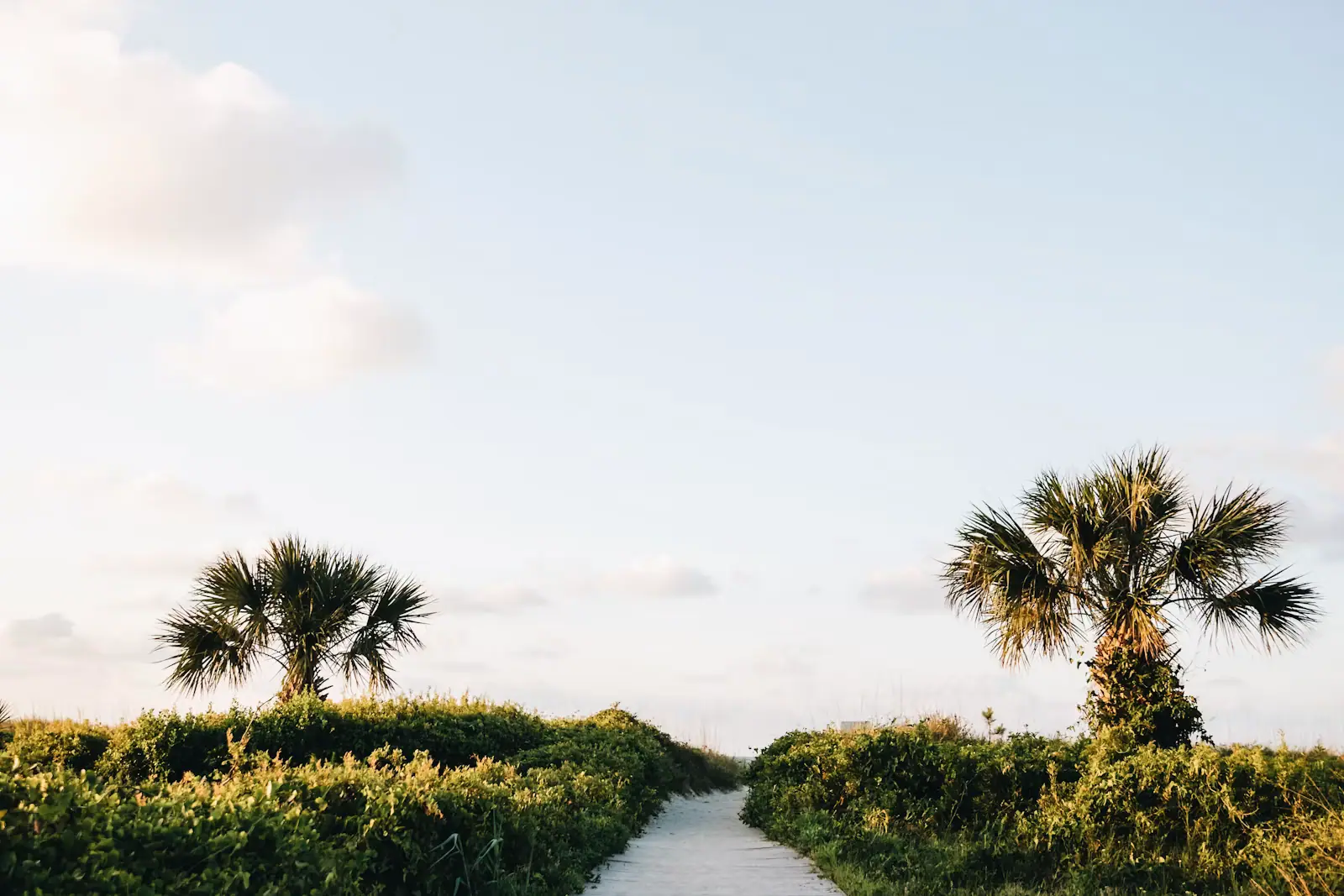 A narrow paved path running between banks of tall marsh grass under an overcast sky