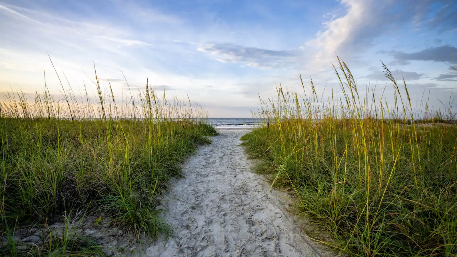 A sandy path between tall dune grass leading to the beach on Hilton Head Island