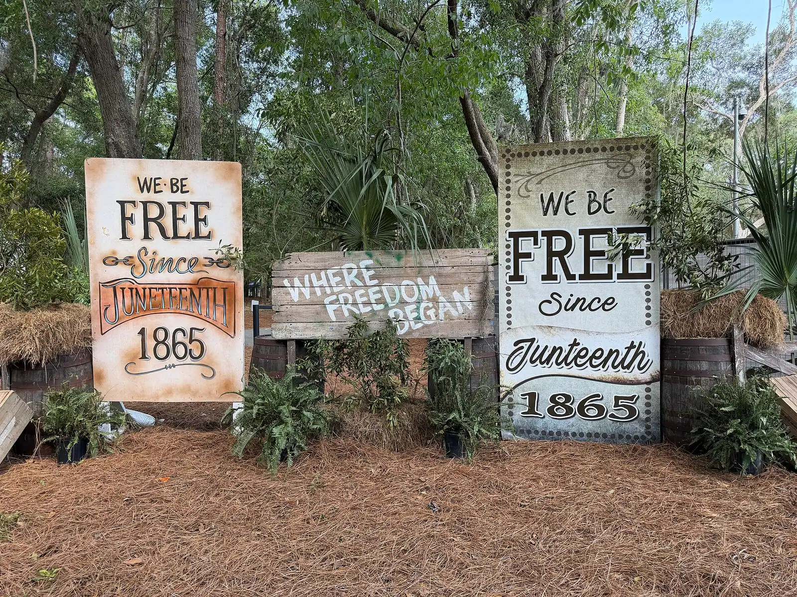 Interpretive panels and live oaks at Historic Mitchelville Freedom Park on Hilton Head Island